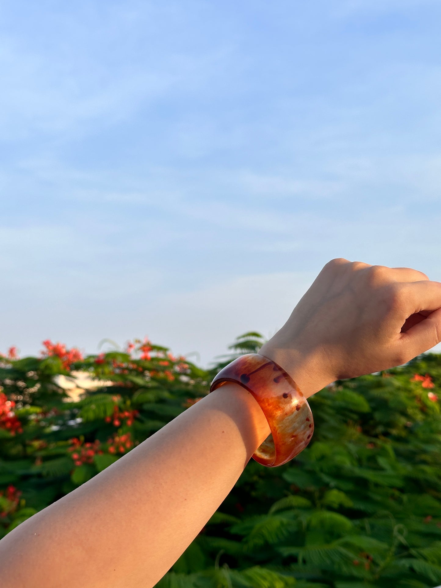 Brown Resin Bangle